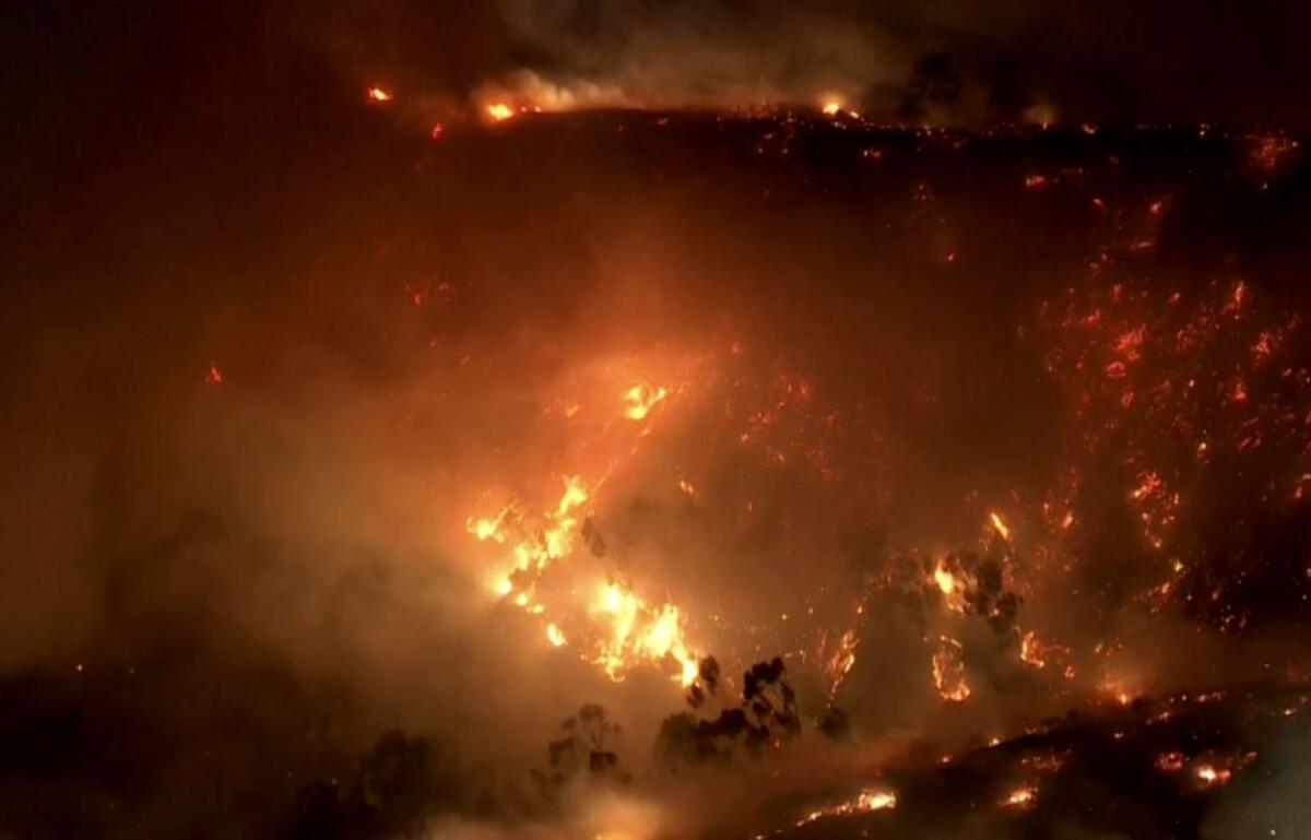 Hollywood Hills Fire